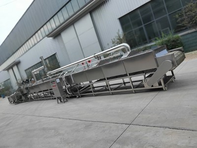 蜜署   红薯清洗烘烤流水线