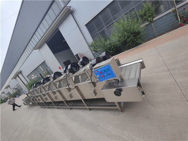 济南蔬菜风干机