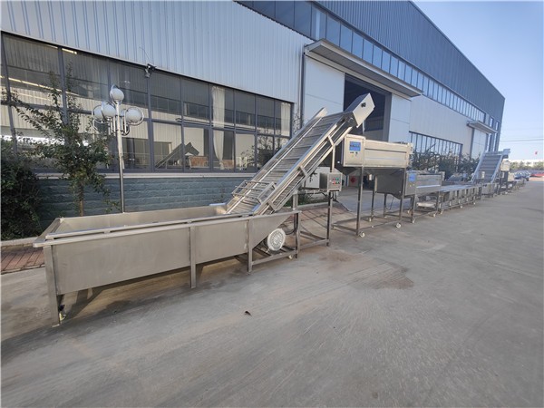 红薯清洗去皮流水线